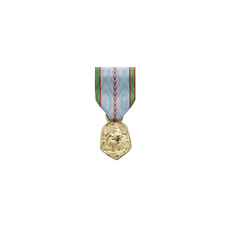 Médaille ordonnance Commemo 39/45
