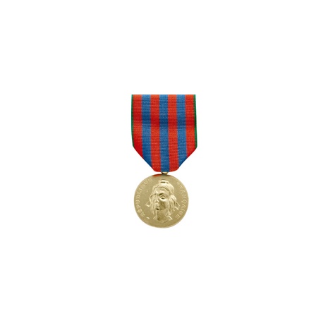 Médaille ordonnance Commemo Française