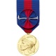Médaille ordonnance Service Militaire Volontaire Bronze Doré