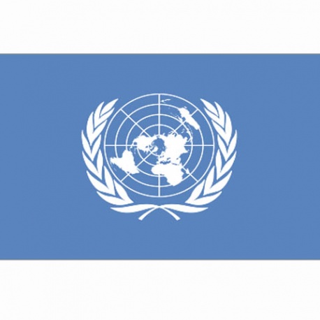 Drapeau ONU