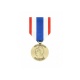 Médaille ordonnance Protection militaire du territoire