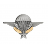 Brevet parachutiste
